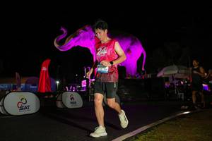 BIB: 
                            <button type="button" onclick="openModal(26543735)" class="btn btn-primary btn-sm float-right btn-popup" data-toggle="modal" data-target=".modal-high-quality">
                        <i class="fas fa-shopping-cart"></i> Add to Cart
                    </button>
                                            <button type="button" onclick="isThisMe(26543735, true)" class="btn btn-success btn-sm float-right btn-popup btn-isme hidden" data-toggle="tooltip" data-placement="bottom" title="นี่คือรูปของคุณใช่ไหม คลิกที่นี่เพื่อเอาเข้าอัลบั้ม">
                        <i class="fas fa-plus"></i> Add to album
                    </button>
                    <button type="button" onclick="isThisMe(26543735, false)" class="btn btn-warning btn-sm float-right btn-popup btn-isnotme hidden">
                        <i class="fas fa-ban"></i> Remove from album
                    </button>